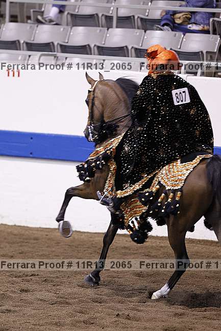 Proof 11r13_2065