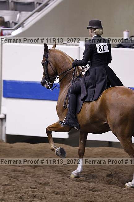 Proof 11r13_2072