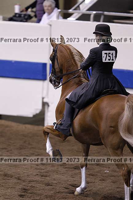 Proof 11r13_2073