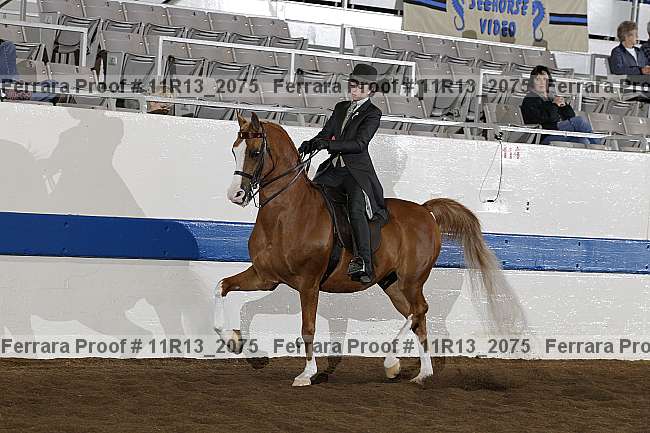 Proof 11r13_2075