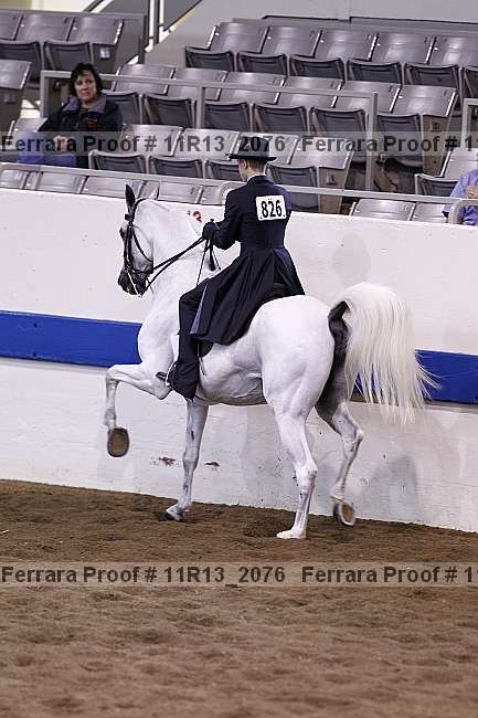 Proof 11r13_2076