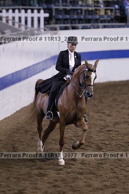 Proof 11r13_2077