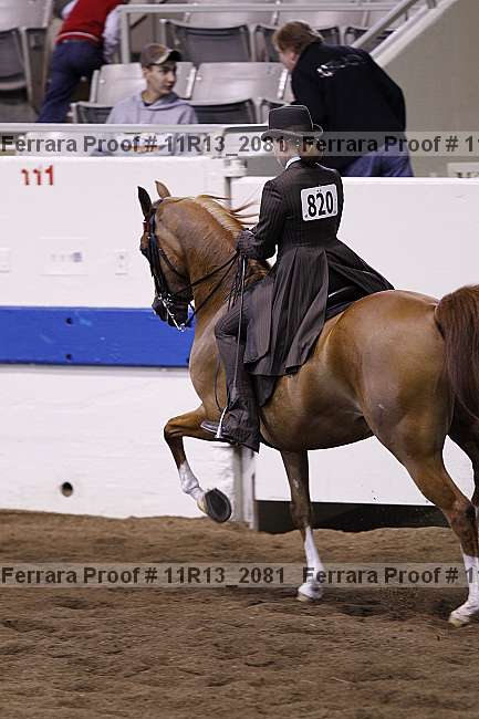Proof 11r13_2081