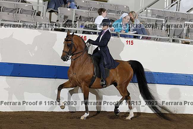 Proof 11r13_2093