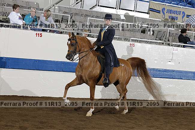 Proof 11r13_2095