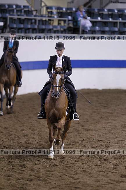 Proof 11r13_2096