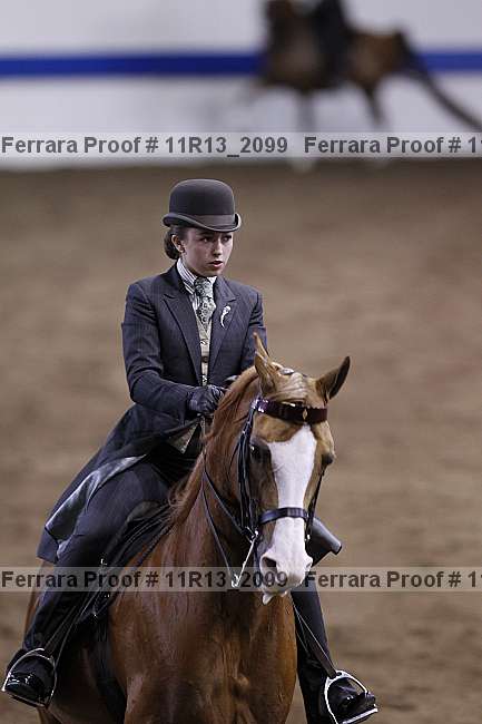 Proof 11r13_2099