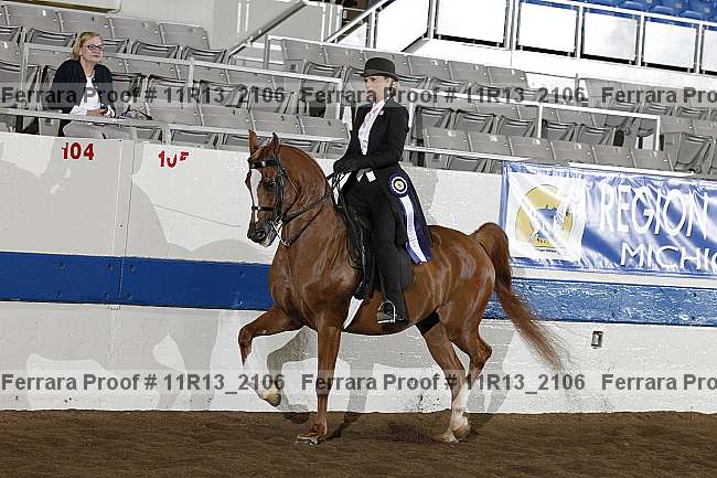 Proof 11r13_2106