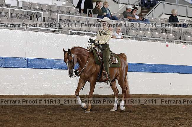 Proof 11r13_2111