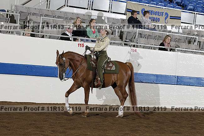 Proof 11r13_2119