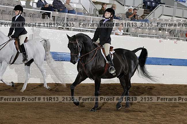 Proof 11r13_2135