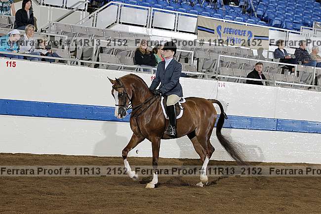 Proof 11r13_2152