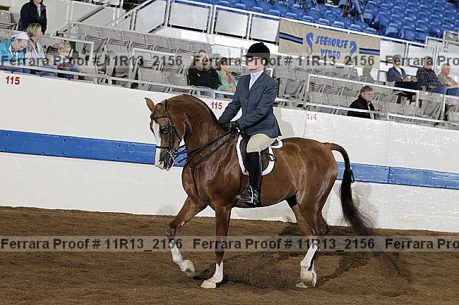 Proof 11r13_2156