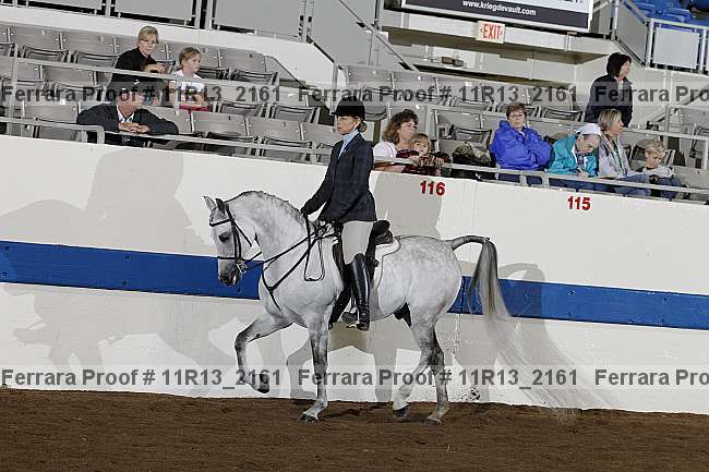 Proof 11r13_2161
