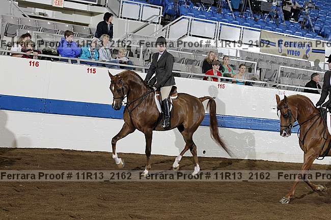 Proof 11r13_2162