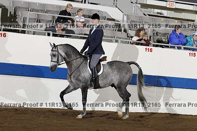 Proof 11r13_2165