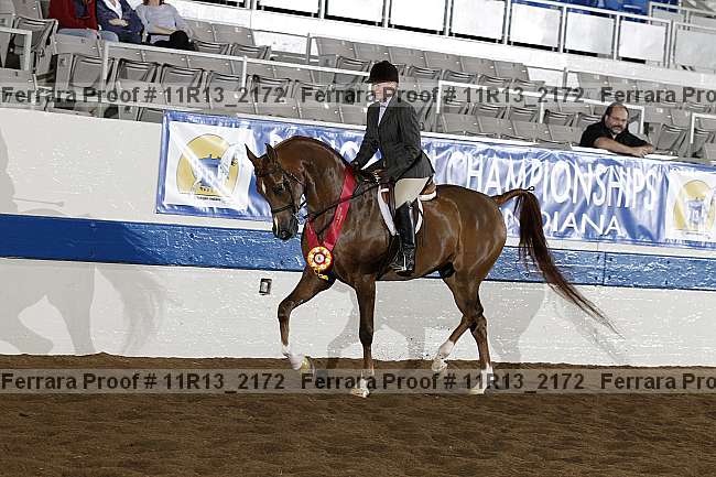 Proof 11r13_2172