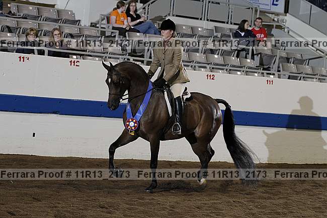 Proof 11r13_2173