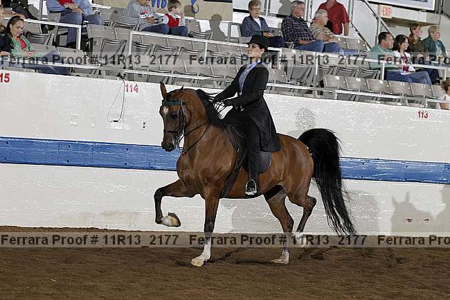 Proof 11r13_2177
