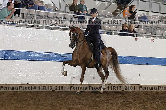 Proof 11r13_2181