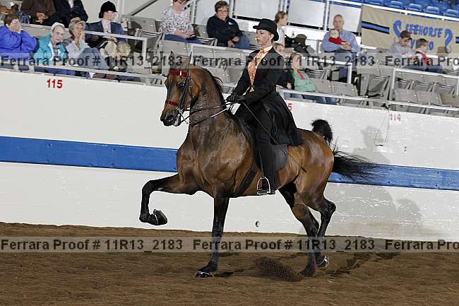 Proof 11r13_2183