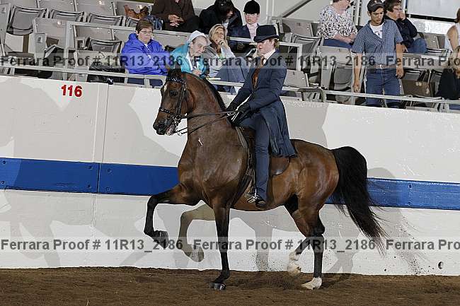 Proof 11r13_2186