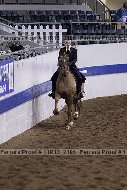Proof 11r13_2195