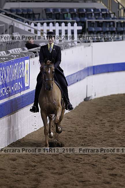 Proof 11r13_2196