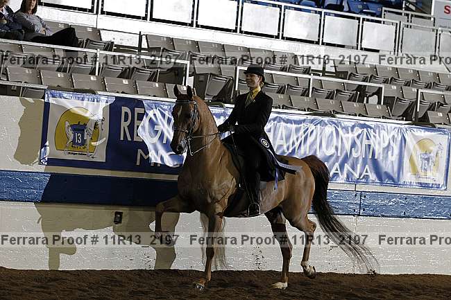 Proof 11r13_2197