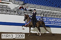 11r13_2209 proof