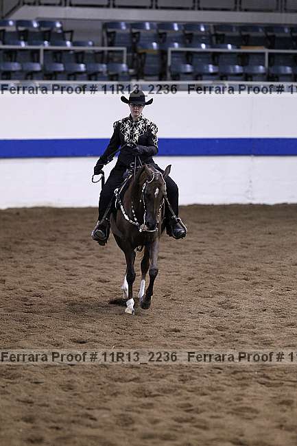 Proof 11r13_2236