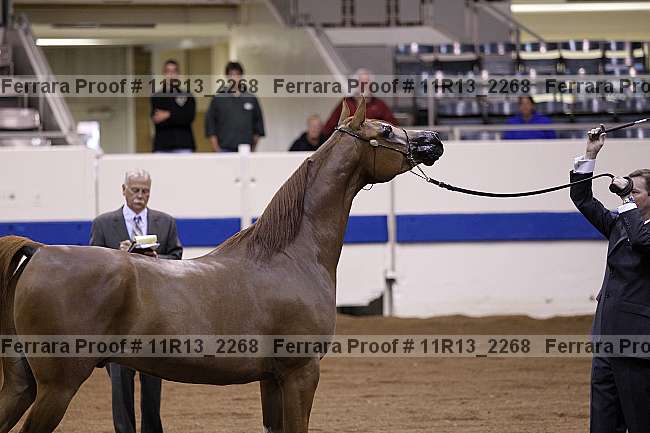 Proof 11r13_2268