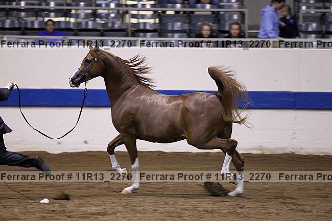 Proof 11r13_2270