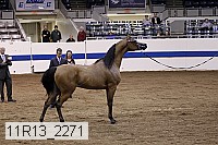 11r13_2271 proof