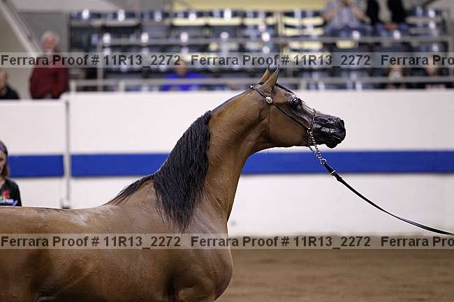 Proof 11r13_2272