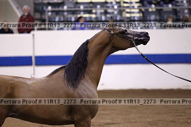 Proof 11r13_2273