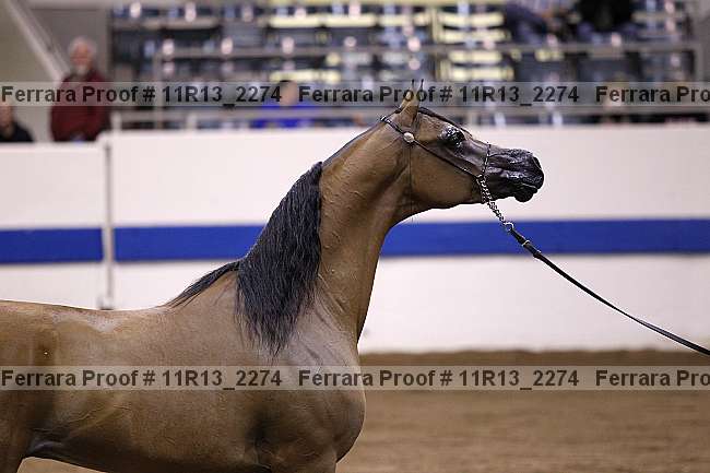 Proof 11r13_2274