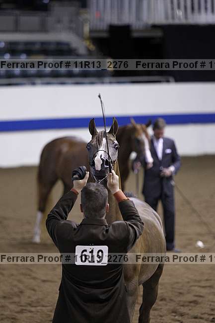 Proof 11r13_2276