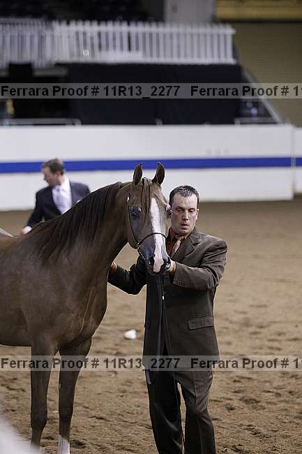 Proof 11r13_2277