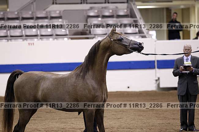 Proof 11r13_2286