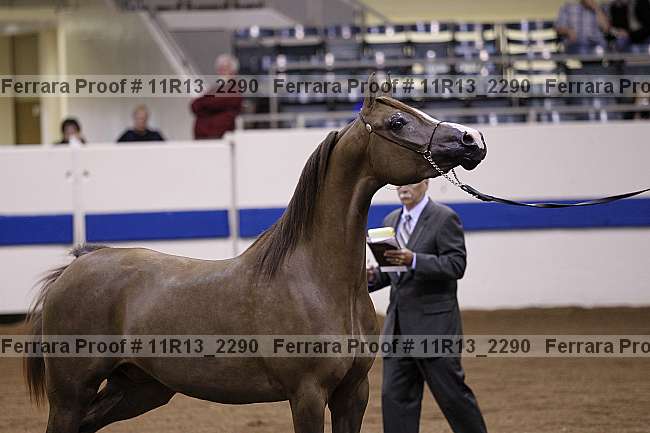 Proof 11r13_2290
