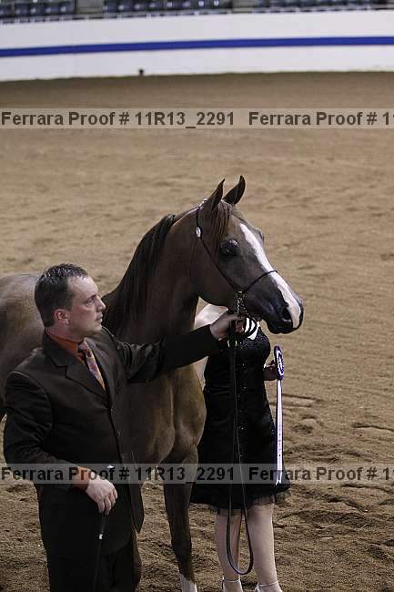 Proof 11r13_2291
