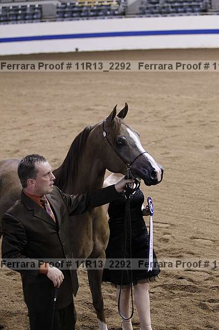 Proof 11r13_2292