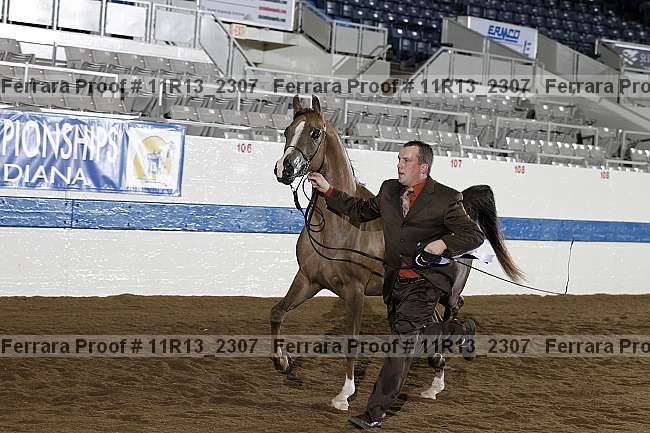 Proof 11r13_2307