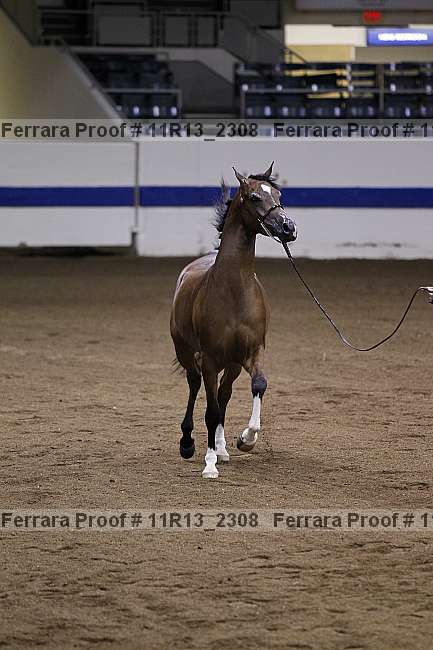 Proof 11r13_2308