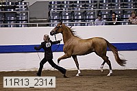 11r13_2314 proof