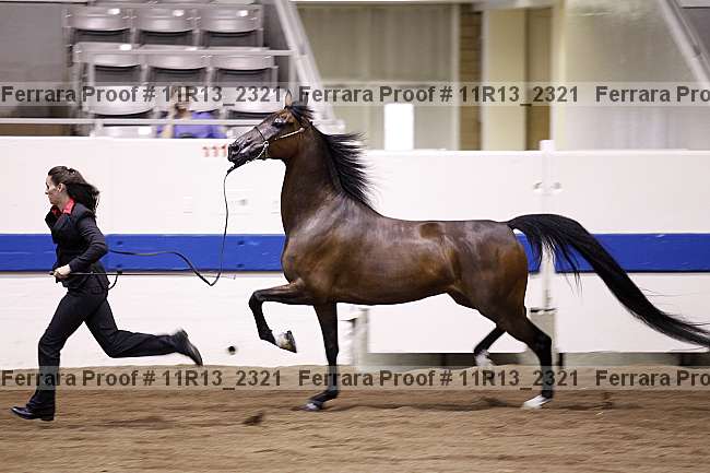 Proof 11r13_2321