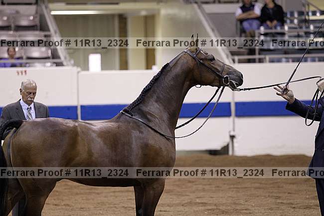 Proof 11r13_2324