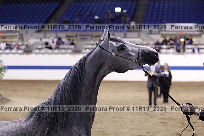 Proof 11r13_2326