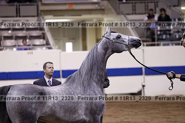 Proof 11r13_2329
